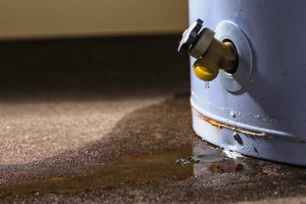 Best Water damage restoration near me  in Scissors, TX