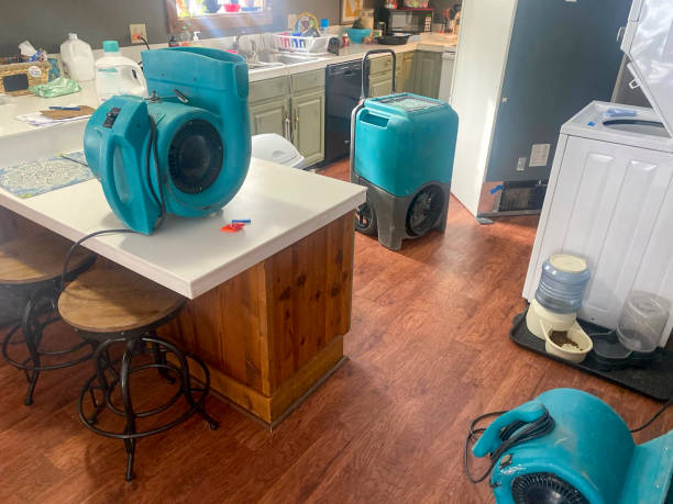 Best Water damage cleanup near me  in Scissors, TX