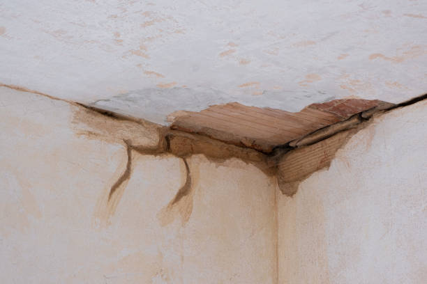 Best Mold removal after water damage  in Scissors, TX