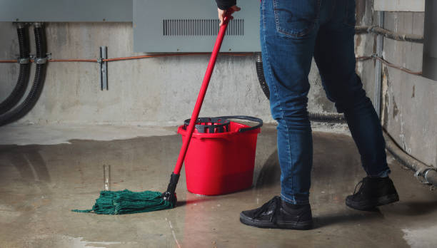 Best Flood restoration services  in Scissors, TX