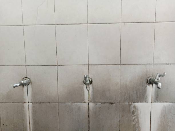Best Water damage restoration near me  in Scissors, TX