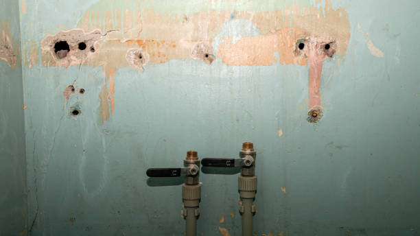 Best 24/7 water damage repair  in Scissors, TX