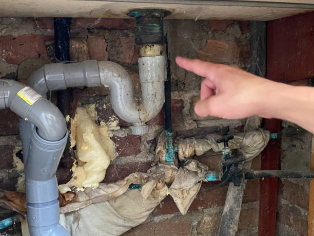 Best Flood damage cleanup  in Scissors, TX