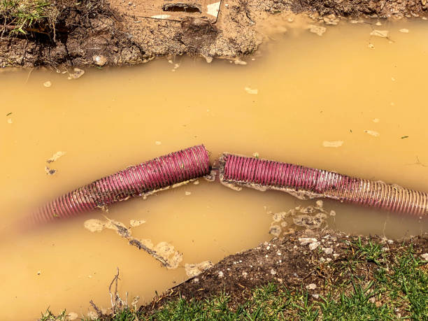 Best Local water damage restoration  in Scissors, TX